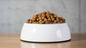 Orijen cat food sold in the australian market was recalled in 2008 when quite a number of cats that ate the product fell sick and died after they were fed with orijen cat food. Orijen Dog Food Reviews Recall History Ingredients More