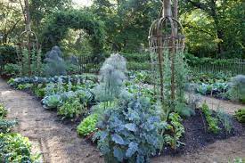 Proactive Fall Vegetable Garden Cleanup With Chanticleer S David Mattern A Way To Garden
