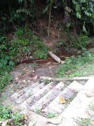 The bukit cerakah forest reserve was constituted under a selangor government gazette and originally comprised 23,826 acres. Bamboo Forest Bukit Lagong Forest Reserve