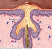 Image result