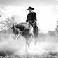 Northwest Horse Fair
