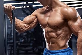 The Best Non Stimulant Pre Workout Supplements For Bodybuilding