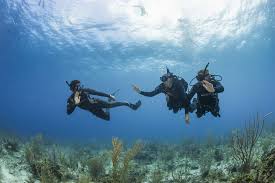 Scuba diving is an excellent way to see some very beautiful sites: Freediving Vs Scuba Diving 5 Big Differences