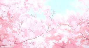 Wallpaper hd of 1920x1080 px, cherry blossom. Anime Flower Wallpaper