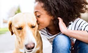 Maybe you would like to learn more about one of these? 9 Best Pet Adoption Websites Where To Find A New Pooch