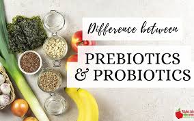 What is the Difference Between Prebiotics and Probiotics? - Right Nutrition  Works