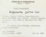 Image result for Hippocratea goetzei