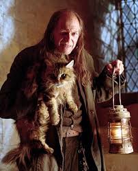Question posted by guest on jun 7th 2018 last modified: Mrs Norris Personnages Harry Potter Harry Potter Personnages