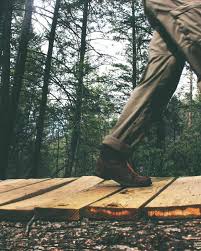 무용과 극락녀 야동 - 후레아갤