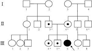 pedigree of the family with xeroderma pigmentosum group a