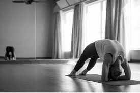 We did not find results for: Yoga Harmony
