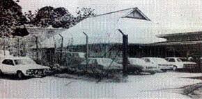 It is also an important timber. Tahukah Anda Pdld Pejabat Daerah Lahad Datu Info Facebook