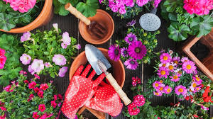 Rosen aus dem topf haben wurzelballen. Ziergarten Tipps Und Tricks Wie Wird Der Garten Schon Pflanzentipps Experten Tipps Bayern 1 Radio Br De