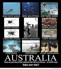 Nope Nope Aaaaand Nope Australia Australia Funny Australia Meme Aussie Memes