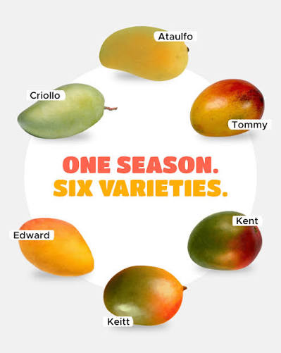 Different mangoes, same peak freshness. March is full of flavor.  #RCFDistributors #freshproduce #supplychain