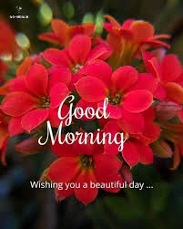 Good Morning Quotes, Images, Wishes - 😍😍Good Morning Sunday=> https://good -morning.hothungama.com/good-morning-motivational-quotes-wishes/ 💐Good Morning Motivational Quotes and Wishes, which is more powerful with the ability to change your mood ...