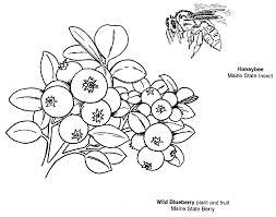 Blueberry Coloring Pages Best Coloring Pages For Kids In 2020 Coloring Pages Fruit Coloring Pages Coloring Pages For Girls