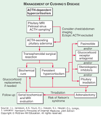 Pituitary Tumor Syndromes Harrisons Principles Of