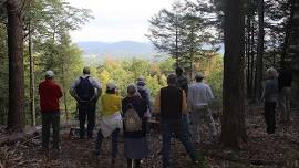 Nature Writing Retreat Great Mountain Forest