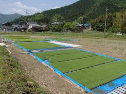 尾崎ファーム