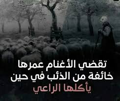تقضي الأغنام عمرها خائفة من الذئب في حين يأكلها الراعي Arabic Words Movie Posters Poster