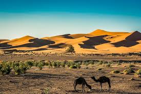 Maybe you would like to learn more about one of these? Morocco S Imperial Cities The Sahara Desert 13 Days Kimkim