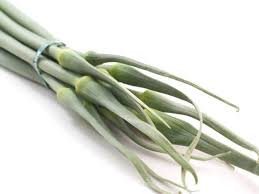 ニンニクの芽 みなとの野菜大辞典
