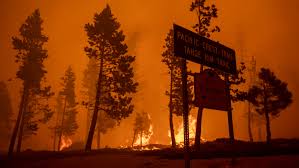 Cal fire says it's the state's no. Nylvsoofwosgzm