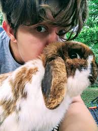 I am a 5 month old female AKC Registered Standard Poodle. I am looking for  a furever home. I have had the following: Dew claws removed Micro chipped  Tail docked Rabies vaccine