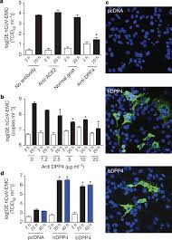 Jetzt podcasts, musik und radiosender online entdecken. Dipeptidyl Peptidase 4 Is A Functional Receptor For The Emerging Human Coronavirus Emc Nature