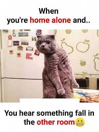 21 Funny Animal Memes That Make Me Laugh Very Funny Memes Really Funny Memes Crazy Funny Memes