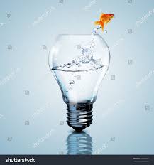 Gold Fish In Water Inside An Electric Light Bulb Ad Affiliate Water Fish Gold Bulb In 2020 Electric Lighter Goldfish Light