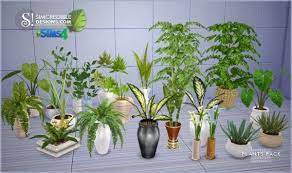 Simcredible Designs Plants Pack Sims 4 Downloads Sims 4 Sims Plants