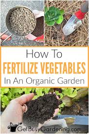 When to fertilize your garden for edible crops , fertilizer is usually applied in the spring and mixed into the garden soil before planting. Fertilizing Your Vegetable Garden Everything You Need To Know