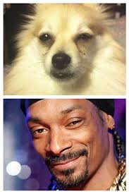 Who wears it best?🤣🤣🤔🤔🤔