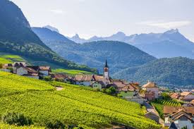 Image result for Wiesneria