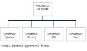 Example Of A Flat Organisational Structure Netflix