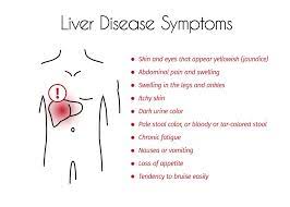 Liver Disease A Closer Look At Stem Cells