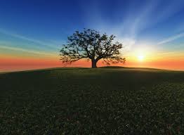 Samsung galaxy tab & tab 7.0 2/3/plus; Download Samsung Galaxy Tab 10 1 Wallpaper Gallery Landscape Wallpaper Beautiful Places Nature Beautiful Nature