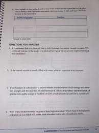 Plant cell structure and function notes. Procedure 1 Observe The Model Of The Plant Cell Chegg Com