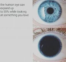 Eye Pupil Meme Posted By U Ceruleancharmander Meme Template Create Memes Blank Memes