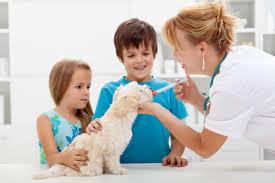 That's why we're so passionate about pet care. Veterinary Clinic Services Ceres Ca American Pet Clinic