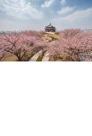 西安长安区照片专题模板-西安长安区照片图片素材下载-我图网