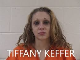 Felony Arrest Yancey County Sheriff Office Arrest and Activities for the  period Wednesday 1/29/2020 through Wednesday 1/12/2020 BUDDY DEWAYNE CRANE,  54 of Burnsville, NC was arrested