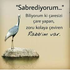 Ayetler Enguzeldualar Evliyasozleri Hadisler Islamisozler Ayetler Hadisler En Guzel Dualar Islami Sozler Evliya Sozleri Quotes Islam Sentences