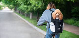 Sew your own dog pack. Carrying A Dog In A Backpack Why And How To Get Him In Humbledogs