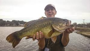 the state largemouth bass record for every state in america