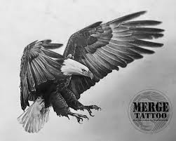 Oglądaj krótkie filmy o #老鷹刺青 na tiktok. Pin Auf Ä'áº¡i Bang