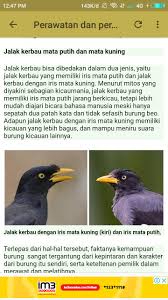 Search free jalak wallpapers on zedge and personalize your phone to suit you. Kicau Jalak Kebo Pemaster Top For Android Apk Download