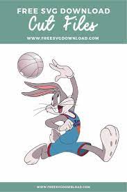 Pin On Space Jam A New Legacy 2021
